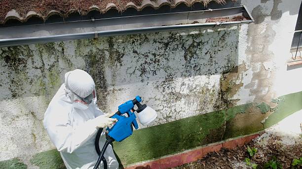 Mold Remediation service in Poulsbo, Poulsbo, WA